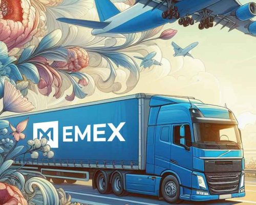 Главная - TOO EMEX – EMEX